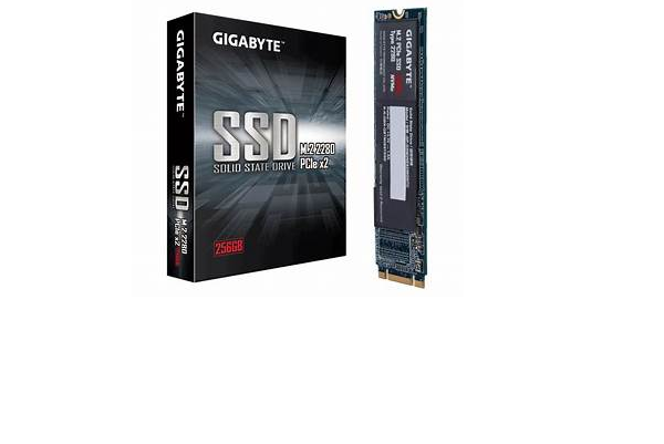 SSD 256GB Gigabyte M.2 2280 NVMe