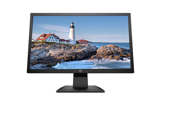 Màn hình HP 19.5" P204v